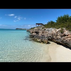 Meet your Posher, Amelia